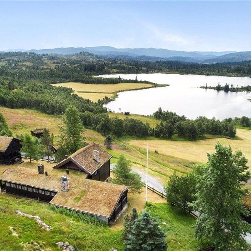 Sommerhus - 13 personer -  - Angreveien - Hjartdal - 3844 - Åmotsdal