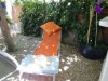 Bilde 7