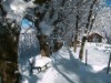 Bild 20