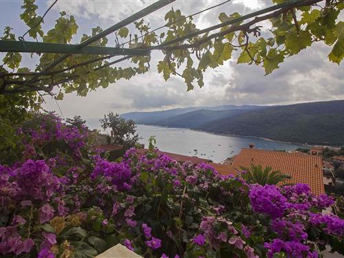 Holiday Home/Apartment - 2 persons -  - 52221 - Rabac