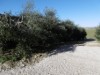 Bild 17