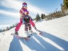 Bild 43