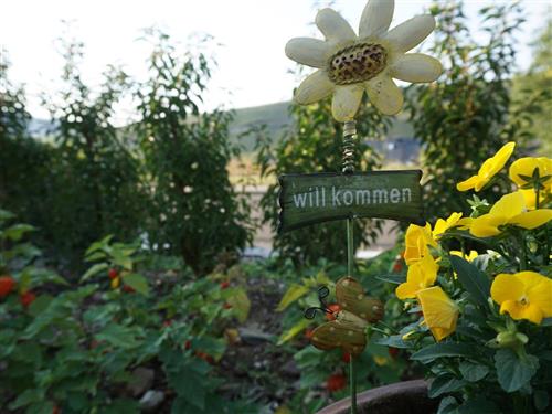 Ferielejlighed - 2 personer -  - Am Kandelborn - 54472 - Brauneberg
