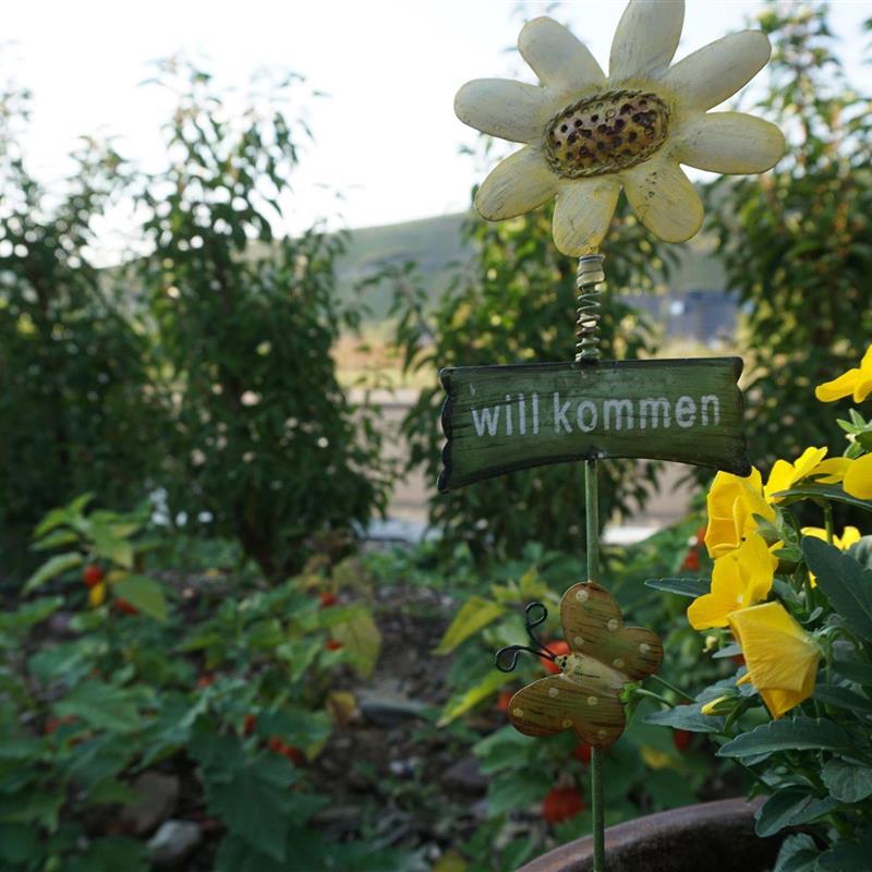 Ferielejlighed - 2 personer -  - Am Kandelborn - 54472 - Brauneberg