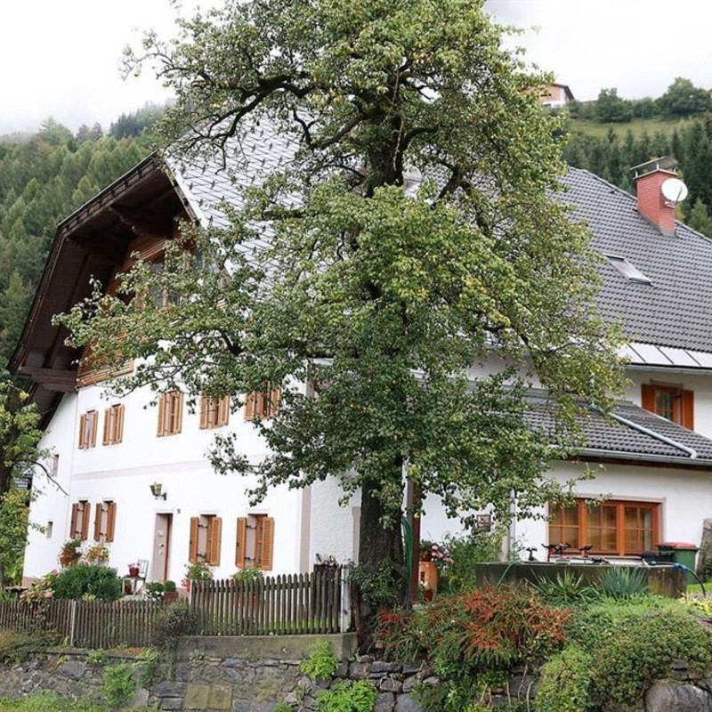 Bondegård - 5 personer -  - Zandlach - 9815 - Kolbnitz / Kolbnitz