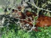 Bild 13