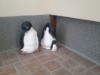 Bild 24 - Aussen