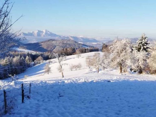 Bondegård - 3 personer -  - Schaffling - 4852 - Weyregg Am Attersee
