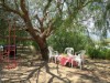 Image 15 - Outside