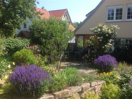 Holiday Home/Apartment - 2 persons -  - Bahnhofstr. - 37445 - Walkenried