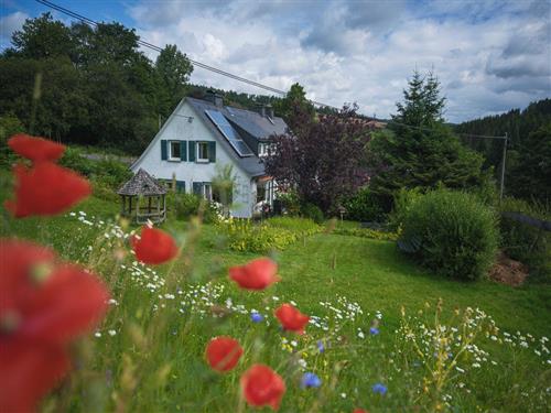 Ferielejlighed - 7 personer -  - Am Homberg - 57319 - Bad Berleburg