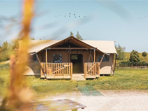 Glamping telt - 6 personer -  - 1619EH - Andijk