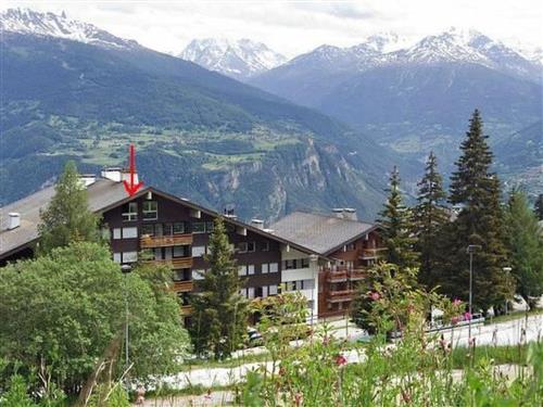 Ferielejlighed - 4 personer -  - Anzère - 1972