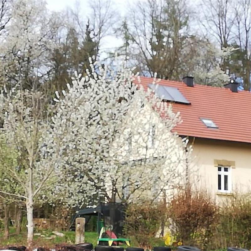 Ferielejlighed - 8 personer -  - Mappach - 92436 - Bruck In Der Oberpfalz