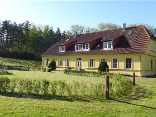 Holiday Home/Apartment - 4 persons -  - Volsvitz - 18569 - Gingst