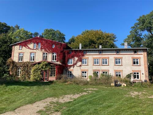 Holiday apartment - 4 persons -  - 18279 - Alt Krassow / Lalendorf