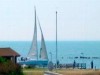 Bilde 6