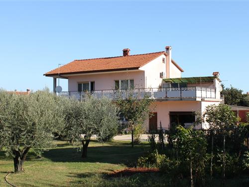 Holiday Home/Apartment - 5 persons -  - Valbandon - 52212 - Valbandon