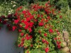 Bild 17