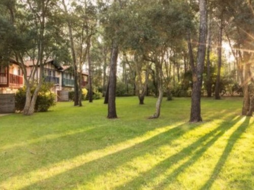 Ferieleilighet - 4 personer -  - 40660 - Moliets Et Maa