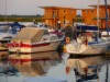 Billede 28