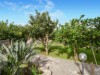 Bild 24
