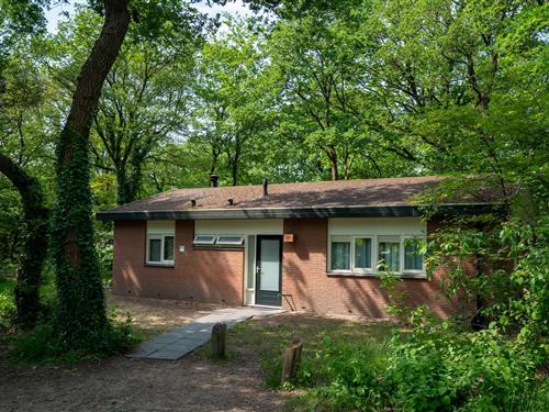 Bungalow - 8 personer -  - 3881SE - Putten