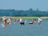 Billede 93 - Udsigt over vand