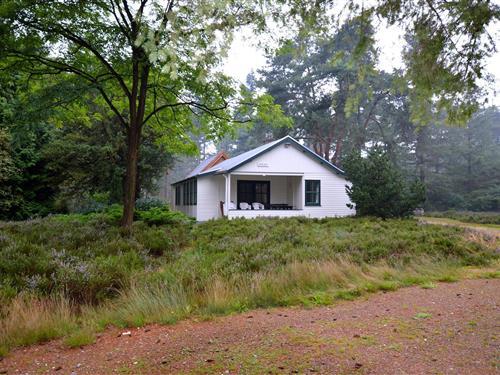 Fritidshus - 6 personer -  - 6026RJ - Maarheeze