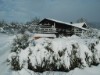 Bild 21