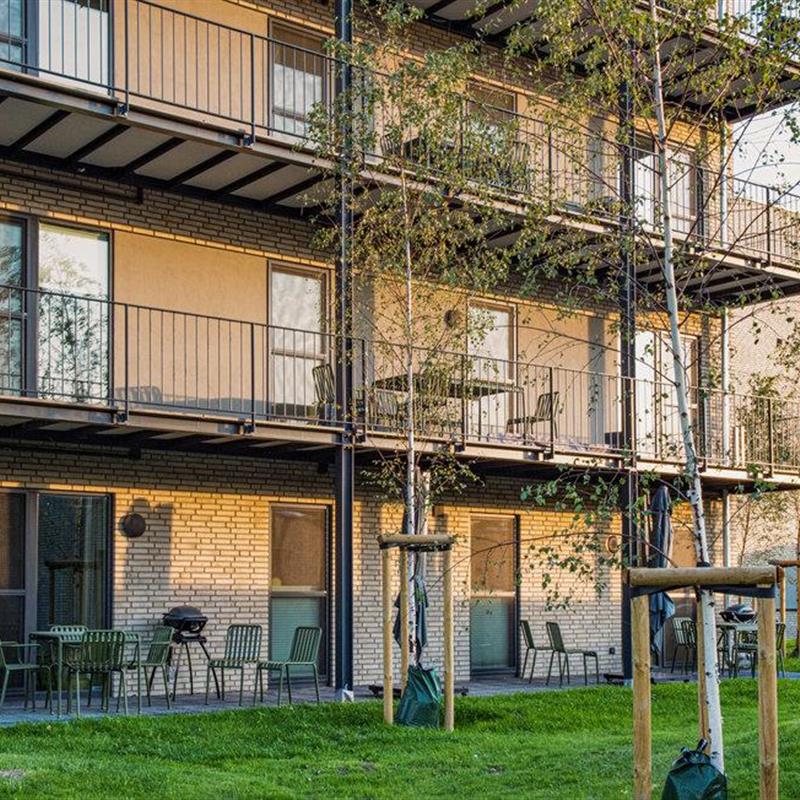 Ferielejlighed - 4 personer -  - Zwischen den Hügeln - M+ In Seenähe - Marissa - 49459 - Lembruch/Dümmer See