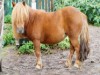 Bild 36