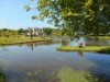 Image 26