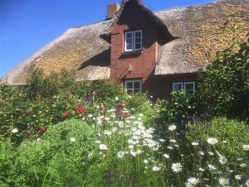 Ferielejlighed - 5 personer -  - Grüner Deich - 25849 - Pellworm