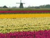 Bild 14 - Aussen