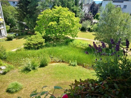 Feriehus - 2 personer -  - 78315 - Radolfzell