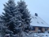 Bilde 4
