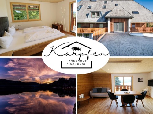 Ferieleilighet - 4 personer -  - Unterfischbach - 79859 - Schluchsee