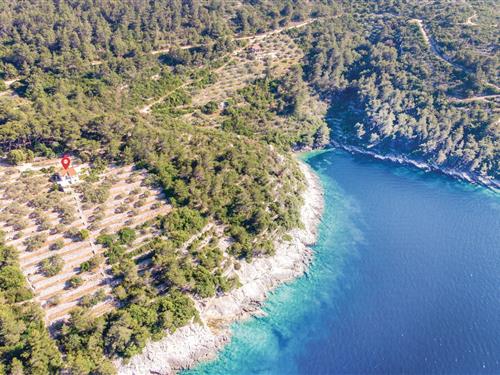 Ferienhaus - 4 Personen -  - Uvala Maslinova - Korcula-Vela Luka - 20270 - Vela Luka