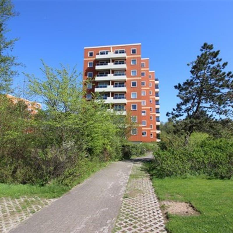 Ferielejlighed - 3 personer -  - Fritz Wischer - 25826 - St. Peter-Ording