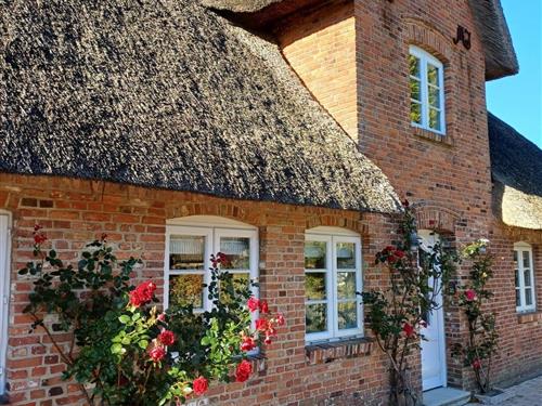 Ferielejlighed - 2 personer -  - Hardesweg - 25938 - Wrixum