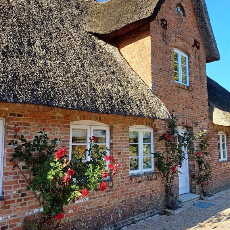 Ferielejlighed - 2 personer -  - Hardesweg - 25938 - Wrixum