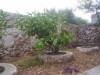 Bilde 5
