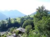 Bild 22 - Ude