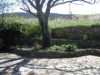 Bilde 5