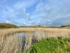 Bild 17 - Blick über's Wasser