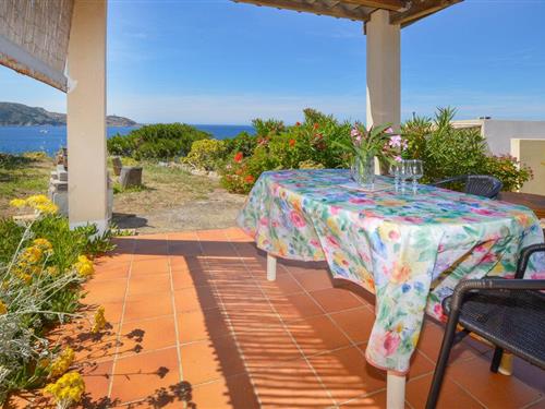 Ferielejlighed - 2 personer -  - Route de la Porta - 20260 - Calvi