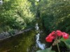 Bilde 6