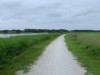 Bilde 31