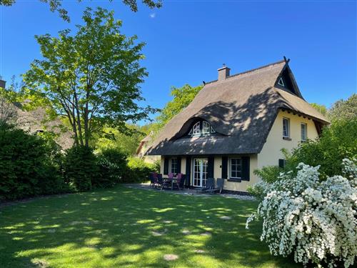 Sommerhus - 6 personer -  - Kranichweg - 18347 - Dierhagen